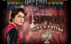 Desktop wallpaper. Harry Potter and the Goblet of Fire. ID:4036