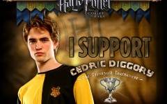 Desktop wallpaper. Harry Potter and the Goblet of Fire. ID:4038
