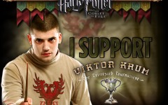 Desktop wallpaper. Harry Potter and the Goblet of Fire. ID:4039