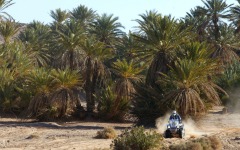 Desktop wallpaper. Dakar Rally. ID:21732