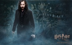 Desktop wallpaper. Harry Potter and the Order of the Phoenix. ID:4063