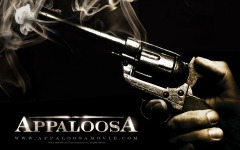 Desktop wallpaper. Appaloosa. ID:21875