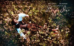Desktop wallpaper. Bright Star. ID:22274
