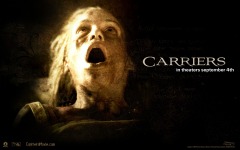 Desktop wallpaper. Carriers. ID:22393
