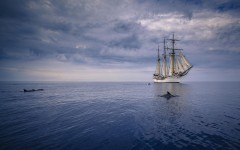 Desktop wallpaper. Ships. ID:61888