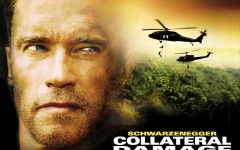Desktop wallpaper. Collateral Damage. ID:22621