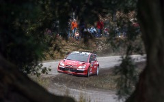 Desktop image. World Rally Championship. ID:22805