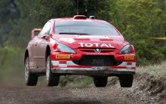 Desktop wallpaper. World Rally Championship. ID:22809