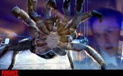 Desktop wallpaper. Eight Legged Freaks. ID:23035