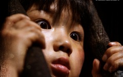 Desktop wallpaper. Grudge 2, The. ID:23453
