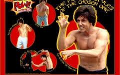 Desktop wallpaper. Kung Pow: Enter the Fist. ID:24005