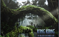 Desktop wallpaper. King Kong. ID:4226