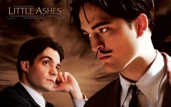 Desktop wallpaper. Little Ashes. ID:24135