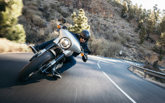 Desktop wallpaper. Harley Davidson