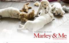 Desktop wallpaper. Marley & Me. ID:24266