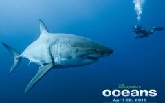 Desktop wallpaper. Oceans. ID:24593