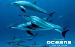 Desktop wallpaper. Oceans. ID:24594
