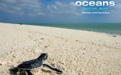 Desktop wallpaper. Oceans. ID:24595