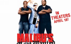 Desktop wallpaper. Malibu's Most Wanted. ID:4344