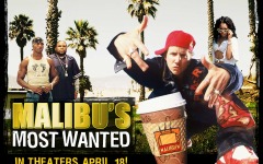 Desktop wallpaper. Malibu's Most Wanted. ID:4345