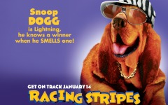 Desktop wallpaper. Racing Stripes. ID:24761