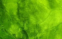 Desktop wallpaper. Textures. ID:47188