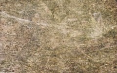 Desktop wallpaper. Textures. ID:47240