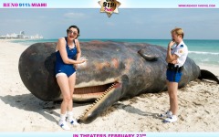 Desktop wallpaper. Reno 911!: Miami. ID:24792