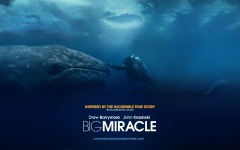 Desktop wallpaper. Big Miracle. ID:24880