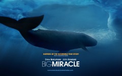 Desktop wallpaper. Big Miracle. ID:24881