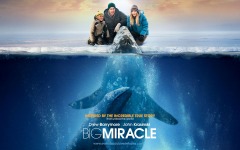 Desktop wallpaper. Big Miracle. ID:24882