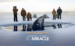 Desktop wallpaper. Big Miracle. ID:24883