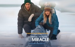 Desktop wallpaper. Big Miracle. ID:24884