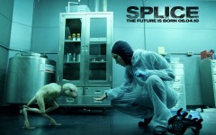Desktop wallpaper. Splice. ID:25154