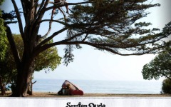 Desktop wallpaper. Surfer, Dude. ID:25254