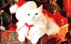 Desktop wallpaper. Holidays. ID:3428