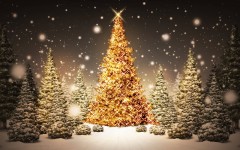 Desktop image. Holidays. ID:3442