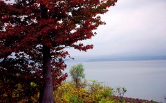 Desktop wallpaper. Nature. ID:28695