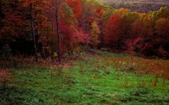 Desktop wallpaper. Nature. ID:28696