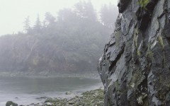 Desktop wallpaper. Nature. ID:28704