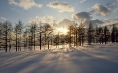 Desktop image. Nature. ID:28717