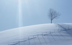Desktop image. Nature. ID:28719