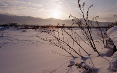 Desktop wallpaper. Nature. ID:28720
