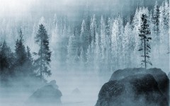 Desktop wallpaper. Nature. ID:28722