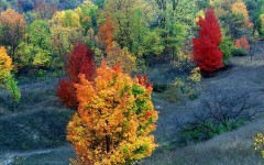 Desktop wallpaper. Nature. ID:28724
