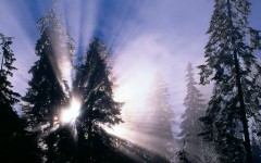 Desktop wallpaper. Nature. ID:28725