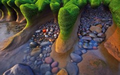 Desktop image. Nature. ID:50343