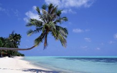 Desktop wallpaper. Nature. ID:28737