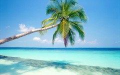 Desktop wallpaper. Nature. ID:28743