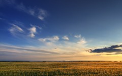 Desktop wallpaper. Nature. ID:28744